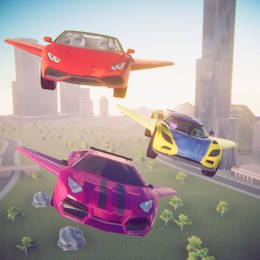 Flying car simulator